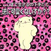 ヒメ日記 2026/09/26 23:16 投稿 めい 制服これくしょん