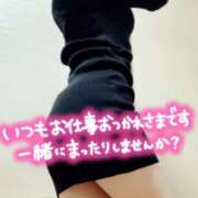 ヒメ日記 2025/10/06 21:27 投稿 新人ようこ 夢心地