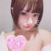 ヒメ日記 2025/11/12 20:00 投稿 ゆら カルテDayShift