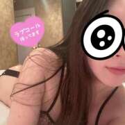 ヒメ日記 2025/11/12 22:38 投稿 アサ秘書 秘書の品格 クラブアッシュ ヴァリエ