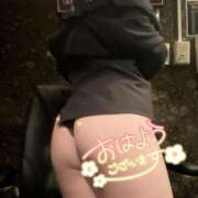 ヒメ日記 2026/02/10 07:30 投稿 アサ秘書 秘書の品格 クラブアッシュ ヴァリエ