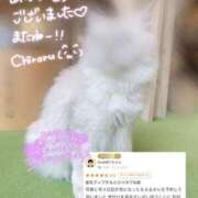 ヒメ日記 2025/06/02 02:31 投稿 ちろる マリン土浦本店