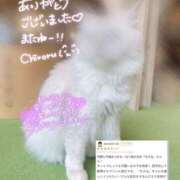 ヒメ日記 2025/06/12 20:41 投稿 ちろる マリン土浦本店