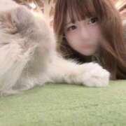 ヒメ日記 2025/06/16 00:21 投稿 ちろる マリン土浦本店