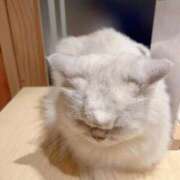 ヒメ日記 2025/07/06 17:44 投稿 ちろる マリン土浦本店