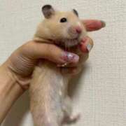 ヒメ日記 2025/09/26 21:28 投稿 ちろる マリン土浦本店