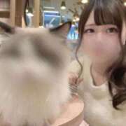 ヒメ日記 2025/11/03 18:31 投稿 ちろる マリン土浦本店