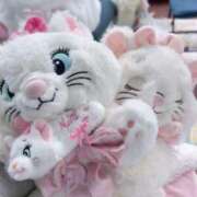 ヒメ日記 2025/11/16 15:51 投稿 ちろる マリン土浦本店