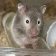 ちろる ごめん😭 マリン土浦本店