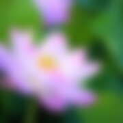 ヒメ日記 2025/10/09 03:36 投稿 金原 ミセスの手ほどき