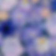 ヒメ日記 2025/10/27 04:46 投稿 金原 ミセスの手ほどき