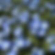 ヒメ日記 2025/10/30 21:17 投稿 金原 ミセスの手ほどき