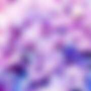 ヒメ日記 2025/11/03 19:06 投稿 金原 ミセスの手ほどき