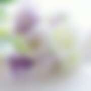 ヒメ日記 2025/11/12 19:13 投稿 金原 ミセスの手ほどき