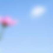 ヒメ日記 2025/11/21 22:06 投稿 金原 ミセスの手ほどき