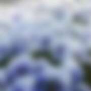 ヒメ日記 2025/11/25 21:34 投稿 金原 ミセスの手ほどき