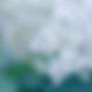 ヒメ日記 2026/01/23 02:39 投稿 金原 ミセスの手ほどき