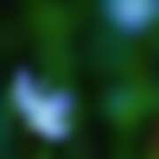 ヒメ日記 2026/01/26 20:54 投稿 金原 ミセスの手ほどき