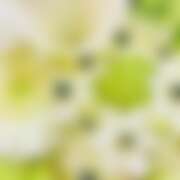 ヒメ日記 2026/02/08 23:19 投稿 金原 ミセスの手ほどき