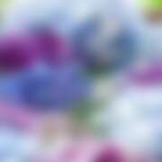 ヒメ日記 2026/03/01 01:56 投稿 金原 ミセスの手ほどき