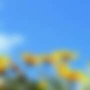 ヒメ日記 2026/03/03 04:02 投稿 金原 ミセスの手ほどき