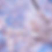 ヒメ日記 2026/03/06 05:13 投稿 金原 ミセスの手ほどき