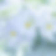 ヒメ日記 2026/03/14 22:31 投稿 金原 ミセスの手ほどき