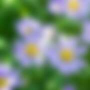 ヒメ日記 2026/04/05 22:47 投稿 金原 ミセスの手ほどき