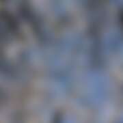 ヒメ日記 2026/04/07 00:38 投稿 金原 ミセスの手ほどき