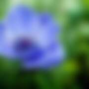 ヒメ日記 2026/04/08 03:49 投稿 金原 ミセスの手ほどき