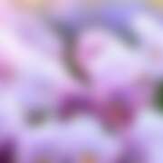 ヒメ日記 2026/04/15 01:40 投稿 金原 ミセスの手ほどき