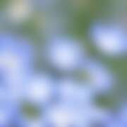ヒメ日記 2026/04/27 00:12 投稿 金原 ミセスの手ほどき