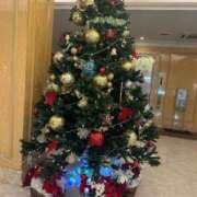 ヒメ日記 2025/12/01 22:11 投稿 あんな 沼津人妻花壇