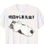 ヒメ日記 2025/07/01 16:52 投稿 花香【はなか】 丸妻 西船橋店