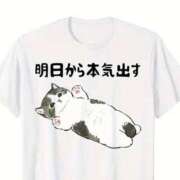 ヒメ日記 2025/11/16 23:35 投稿 花香【はなか】 丸妻 西船橋店