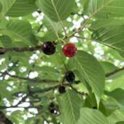 ヒメ日記 2025/05/29 14:30 投稿 わかば 至福の密着エステ&禁断のM性感 Luxeaz