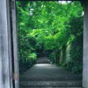 ヒメ日記 2025/07/17 14:01 投稿 わかば 至福の密着エステ&禁断のM性感 Luxeaz