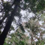 ヒメ日記 2026/02/17 16:15 投稿 わかば 至福の密着エステ&禁断のM性感 Luxeaz