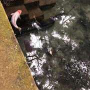 ヒメ日記 2026/02/19 23:40 投稿 わかば 至福の密着エステ&禁断のM性感 Luxeaz