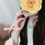 ヒメ日記 2026/03/14 14:45 投稿 わかば 至福の密着エステ&禁断のM性感 Luxeaz