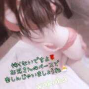 ヒメ日記 2026/04/10 19:22 投稿 わかば 至福の密着エステ&禁断のM性感 Luxeaz