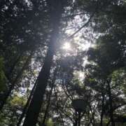 ヒメ日記 2026/04/29 14:45 投稿 わかば 至福の密着エステ&禁断のM性感 Luxeaz