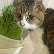 ヒメ日記 2025/06/16 20:34 投稿 新名（にいな） 丸妻 錦糸町店