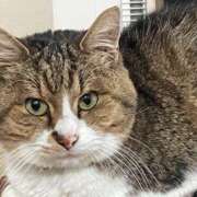 ヒメ日記 2025/08/20 12:14 投稿 新名（にいな） 丸妻 錦糸町店