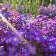 ヒメ日記 2025/05/20 19:27 投稿 えみ スピード日本橋店