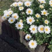 ヒメ日記 2025/06/07 10:57 投稿 えみ スピード日本橋店