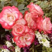 ヒメ日記 2025/06/19 11:07 投稿 えみ スピード日本橋店