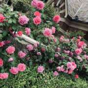 ヒメ日記 2025/06/23 11:47 投稿 えみ スピード日本橋店