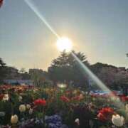 ヒメ日記 2025/07/21 15:07 投稿 えみ スピード日本橋店