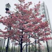 ヒメ日記 2025/08/09 10:47 投稿 えみ スピード日本橋店